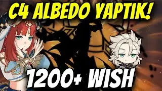 Nilou & Albedo Wishleri | EN ŞANSLI WISHLERİMDEN BİRİ | C4 ALBEDO YAPTIK! | Genshin Impact Türkçe