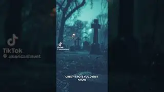 Archer Avenue Resurrection Mary Chicago Most Haunted Road in USA Scary Horror Tiktok Illinois Video