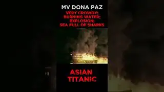 The most terrible ship sinking in history #ships #edit #history  #disaster #maritime #shorts #fyp