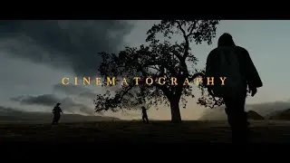 C I N E M A T O G R A P H Y -Les plus beaux plans de l'histoire du cin&eacute;ma et des s&eacute;ries