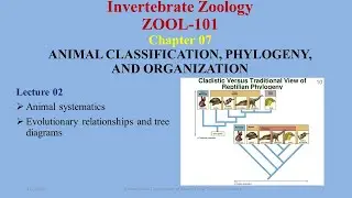 Animal Systematics  #monophyletic #paraphyletic #polyphyletic #symplesiomorphies #synapomorphies