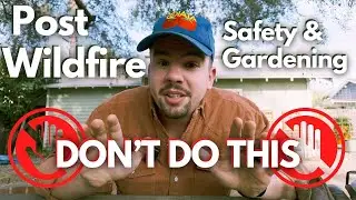 Soil Remediation & Produce Safety - How To Fix Your Garden After An Urban Wildfire