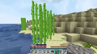 Minigame SS4 Pyramid Adventure Reborn Full game