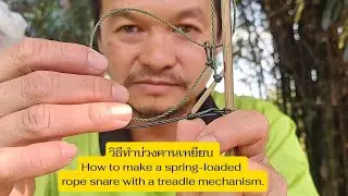 วิธีทำบ่วงคานเหยียบ How to make a spring-loaded rope snare with a treadle mechanism.