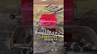No Script Provided