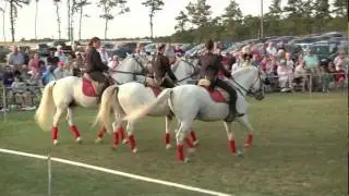 Herrmann's Royal Lipizzan Stallions