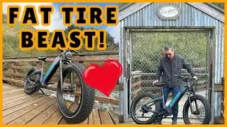 This Fat Tire E-bike is a 28 MPH Beast!
