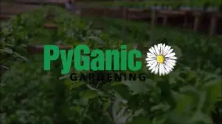 Pyganic&reg; Gardening