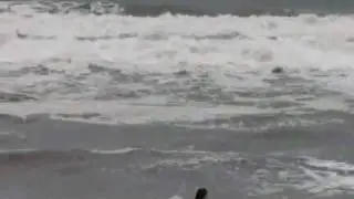 More beach fun in Fort Walton Beach Florida
