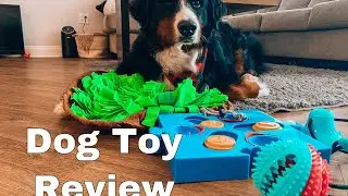 Bernese mountain dog Reviews Dog Toys | Part 3