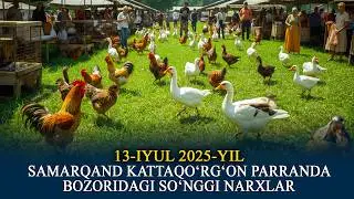SAMARQAND KATTAQO‘RG‘ON PARRANDA BOZORIDAGI SO‘NGGI NARXLAR 13 IYUL 2025