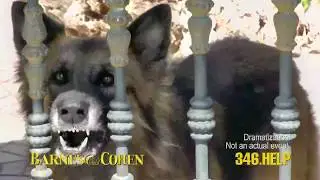 Dog Bite Injury Attorneys Protect Innocent Victims