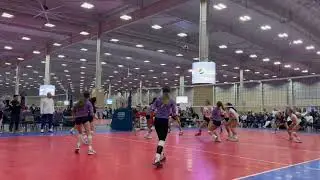 Berkeley Berry (2026) - 501 Volley 15.1 L/ds - Season Highlights - (excluding USAV Nationals)