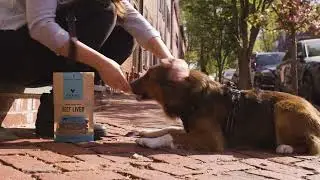 Raw Protein Treats Your Dog Will Love