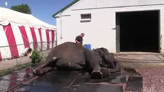 Circus World Museum In Baraboo Wisconsin Tour July 11 2019