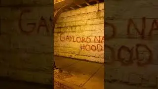 Almighty Gaylords 🀄️ Chicago Gang Tags 2022