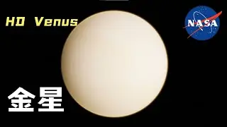 Venus 丨The second planet from the sun
