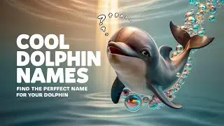 Cool Dolphin Names You&rsquo;ll Instantly Love &ndash; Find the Perfect Fit!|NamesCreek