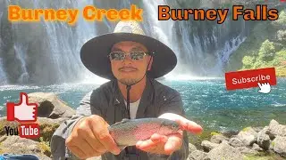 Episode 108: Fishing @ Burney Creek & Burney Falls