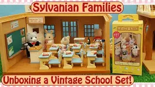 Unboxing Sylvanian Families School Sets! Part 2: Vintage Home Economics Set!