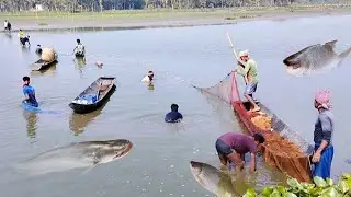 What is the native fish of Ganga Beel | |  fishing equipment | fishing knots | fishing trip