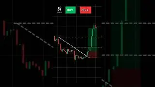 Stop-loss Hunting Strategy