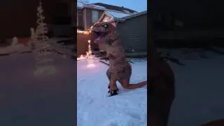 TREX dinosaur attempt's to do a snow angel
