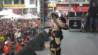 SI NOS DEJAN - LUCAS JIM&Eacute;NEZ EL CHARRITO DE ORO CARNAVAL VALENCIA 2020