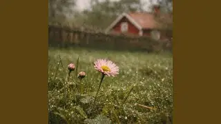 Sommarkv&auml;llar i v&aring;rt land
