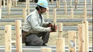 Japan's resilient survivors