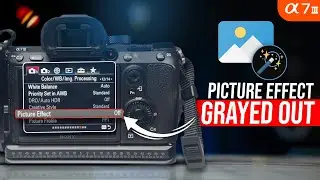 Fix Picture Effect Grayed Out on Sony A7 Series Camera | Quick Solutions