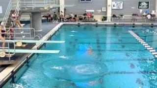 201B - 1-Meter Diving - Back Dive Pike