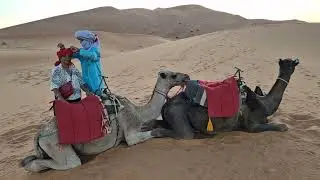 Camel ride in Sahara desert in Morroco 2025