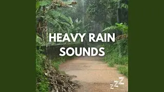Continuous Rain Sounds