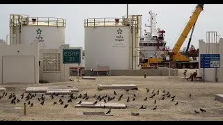 Qatar to leave OPEC and focus on gas