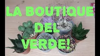La Boutique del verde.Il mio primo ordine di piante Online!