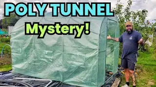The Case of the Mysterious Polytunnel 🕵️&zwj;♂️ Allotment Update