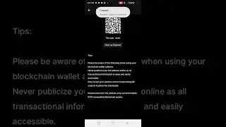 HOW TO COPY YOUR OPENEX (OEX) WALLET AND USE IT TO LINK ON SATOSHI APP