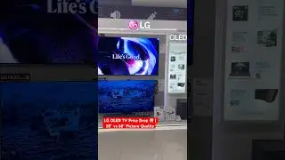 LG OLED TV Price Drop 😱 | 55&rdquo; vs 65&rdquo; Picture Quality
