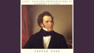 6 Melodien von Franz Schubert, S. 563 (Arr. for String Orchestra) : 5. Ungeduld
