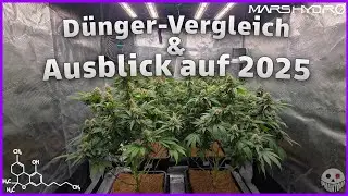 Fortschritt, D&uuml;nger-Vergleich & Ausblick auf 2025! | Mars Hydro FC 3000 EVO Komplett-Set | Teil 14