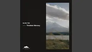 Timeless Memory (Radio Edit)