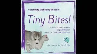 Veterinary Wellbeing Wisdom Tiny Bites - Ignore the Warnings and Win