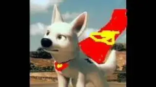 What is This? (Krypto/Bolt)