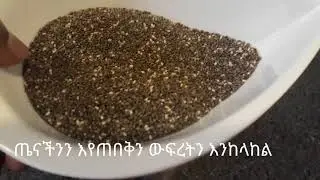 በቺያ ጤናችንን እየጠበቅን ውፍረትን እንከላከል