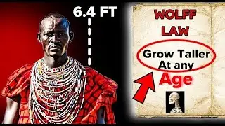 Increase Height At Any Age( Using Wolff's Law)! #looksmaxxing