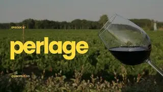 Perlage and Quality of the Bubbles (Visual Analysis) | Keys of Wine Tasting