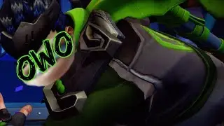 My Experience (and Problems) With OwOwatch