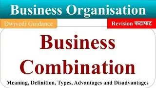 Business Combination and its types, horizontal, vertical, lateral, Business Organisation b.com