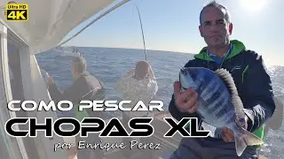 Como PESCAR CHOPAS XL por Enrique Perez